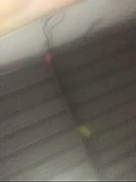 sexguruxxx online show from 24, 11, 2025