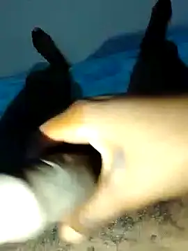 dicksosmall online show from 21, 11, 2025