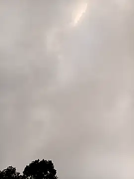 meomeo-00 online show from 11, 1, 2026