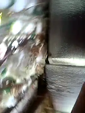 asian aya online show from 29, 11, 2025