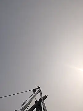 Cover-baa online show from 27, 3, 2026