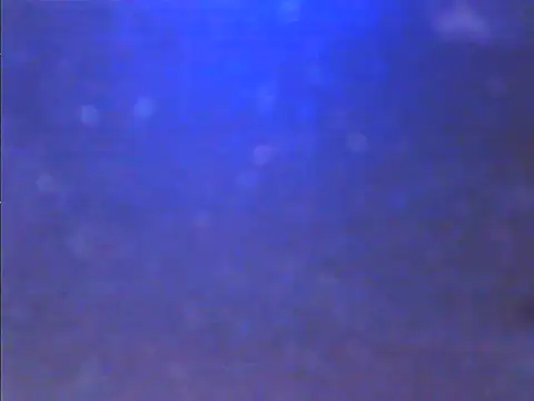 Sweet dove05 online show from 26, 11, 2025