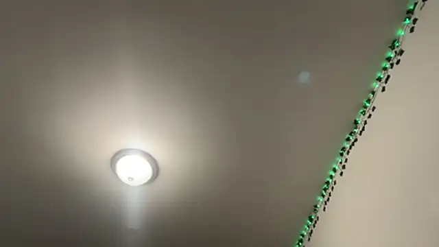 tinydaisy21 online show from 2, 12, 2025