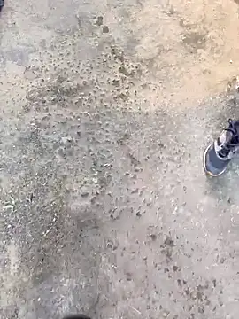 Snapshot of Playboy_pune_ chatting on 19, 11, 2025 Playboy pune online show from 19, 11, 2025