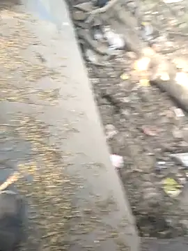 Snapshot of Playboy_pune_ chatting on 26, 11, 2025 Playboy pune online show from 26, 11, 2025