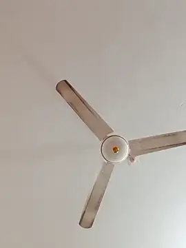 rupamim online show from 22, 12, 2025