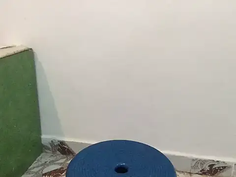 raveena hot online show from 8, 3, 2026