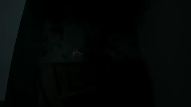 sahara paker online show from 14, 4, 2026