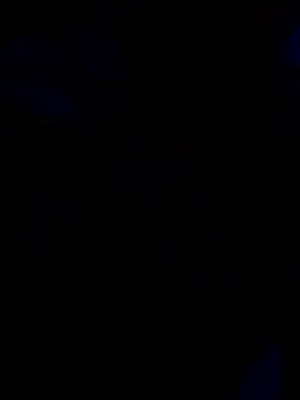 cutestpearl online show from 13, 1, 2026