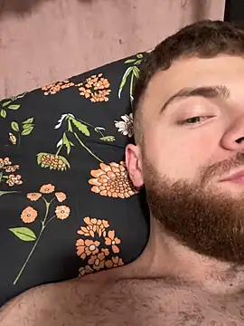 Dark Wolf 10 online show from 26, 11, 2025