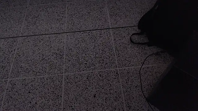 Dio  morningstar online show from 13, 4, 2026