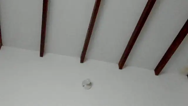 Dio  morningstar online show from 8, 2, 2026