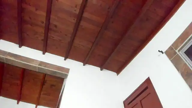 Jave rave online show from 31, 3, 2026