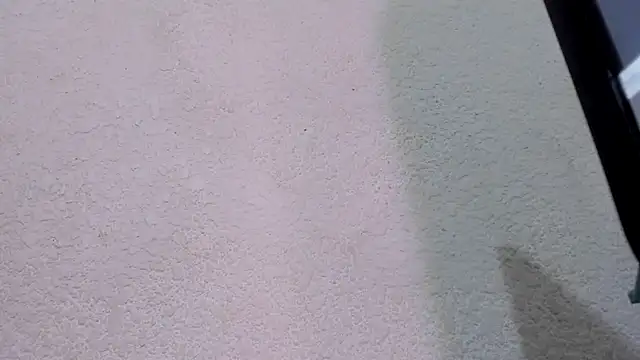 ebonycamelia online show from 22, 11, 2025