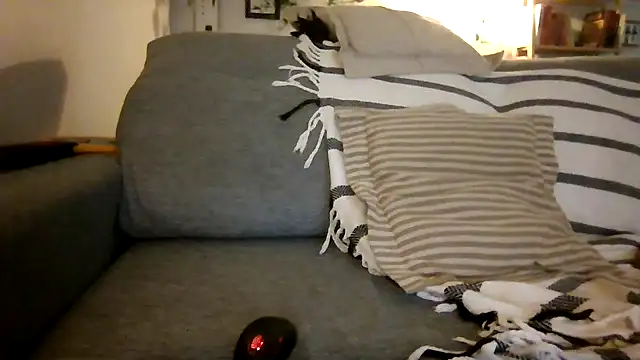 xxxluana online show from 3, 12, 2025