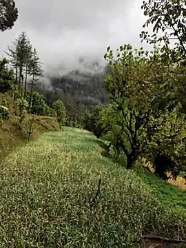 Cute Lucky online show from 8, 4, 2026