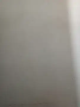 Snapshot of Reema_143 chatting on 16, 12, 2025 Reema 143 online show from 16, 12, 2025