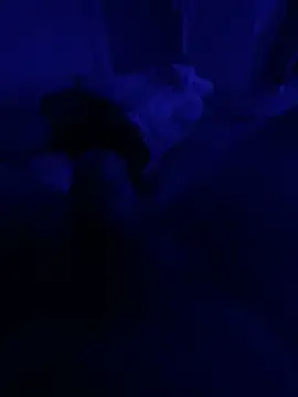 darknebula80 online show from 10, 2, 2026