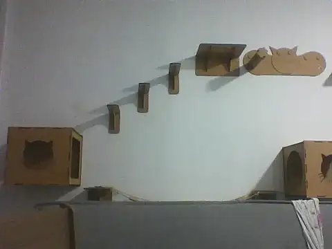 Temp7 online show from 23, 2, 2026