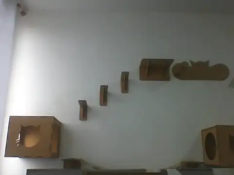 Temp7 online show from 23, 2, 2026