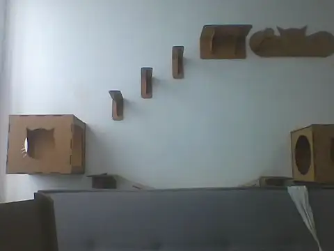 Temp7 online show from 21, 2, 2026