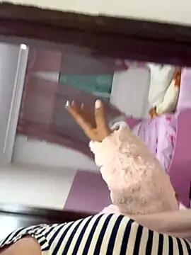 dorcormayssae online show from 21, 11, 2025