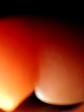 Eezxxx online show from 23, 3, 2026