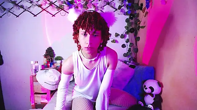 Beel zebu online show from 3, 12, 2025