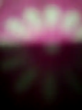 Nandani-758 online show from 19, 12, 2025