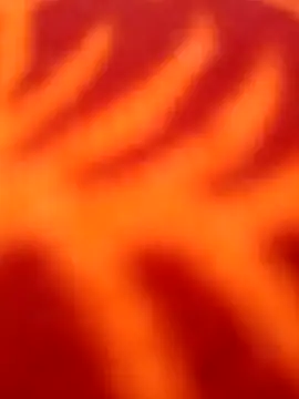 Nandani-758 online show from 8, 4, 2026