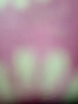 Nandani-758 online show from 17, 1, 2026