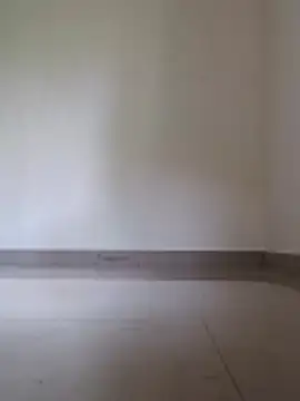 Meow buggie online show from 18, 12, 2025