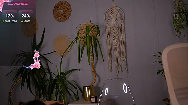 PureEllieX online show from 6, 4, 2026