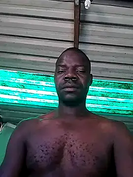 pdck2025 online show from 22, 11, 2025