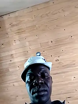 pdck2025 online show from 24, 11, 2025