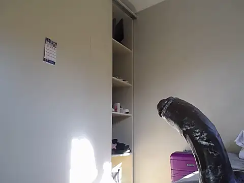 KinkyJXxX online show from 10, 4, 2026