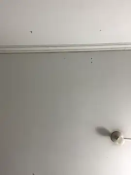 Snapshot of Rosa_Vidal_ chatting on 29, 11, 2025 Rosa Vidal online show from 29, 11, 2025