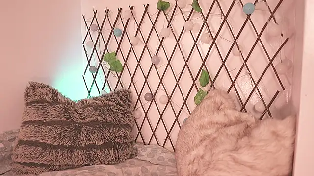 Mackenzie Lia online show from 28, 11, 2025