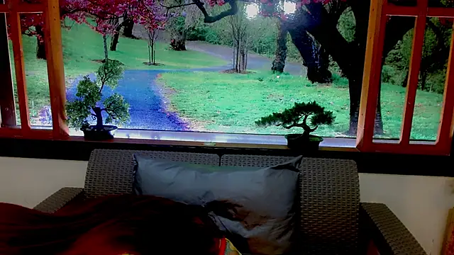 britanny noroeste online show from 11, 1, 2026