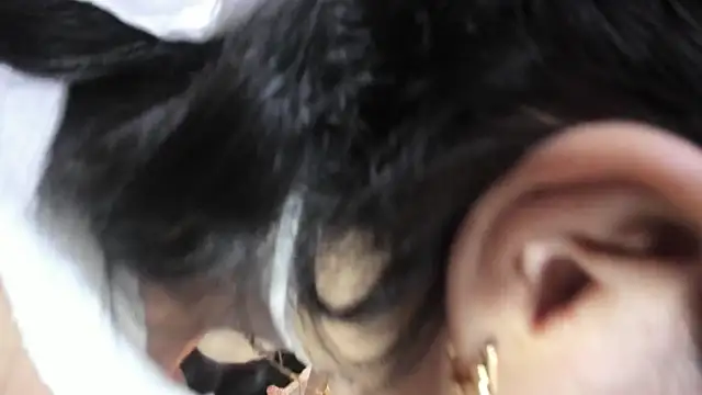 Haylenpark online show from 22, 2, 2026