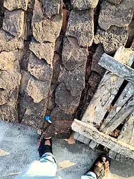 apka rockstarr online show from 17, 12, 2025