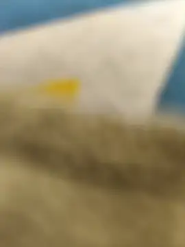 paro22 sex online show from 14, 2, 2026