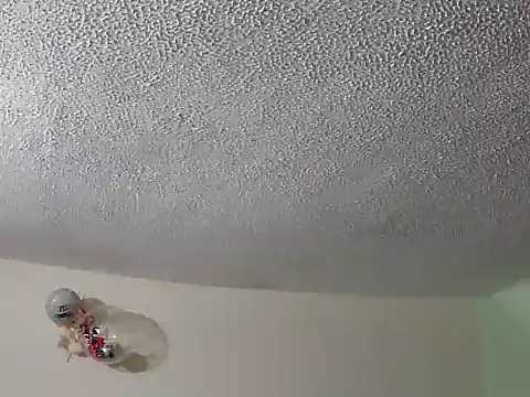 ashleey palmer online show from 2, 12, 2025