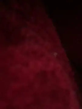 hotel222 online show from 27, 11, 2025