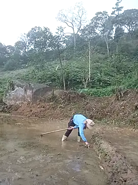 nangmo online show from 20, 3, 2026