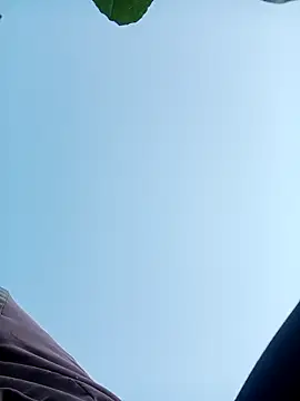 nangmo online show from 30, 11, 2025