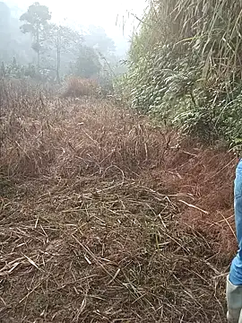 nangmo online show from 1, 3, 2026