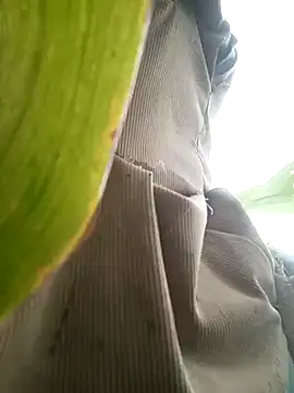 nangmo online show from 17, 7, 2026