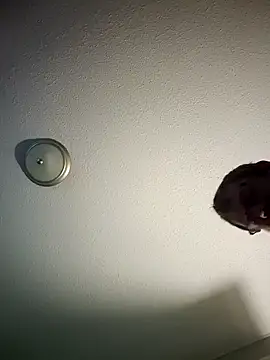 mr girthyandsweetcheeks online show from 13, 2, 2026