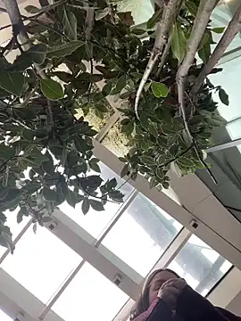 Snapshot of KateBurlesk chatting on 1, 2, 2026 KateBurlesk online show from 1, 2, 2026